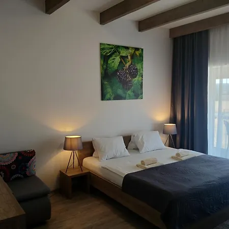 Apartmán Ceresnovy Sad & Wellness *