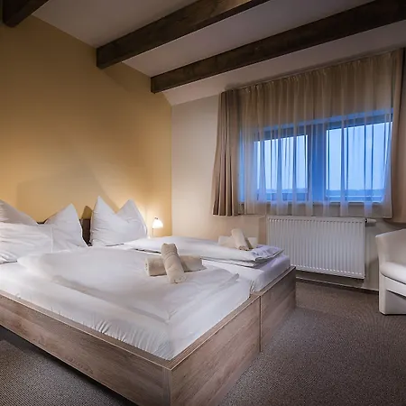 Ceresnovy Sad & Wellness Apartament *