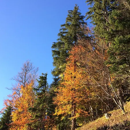 Apartment Ceresnovy Sad & Wellness Vysoke Tatry